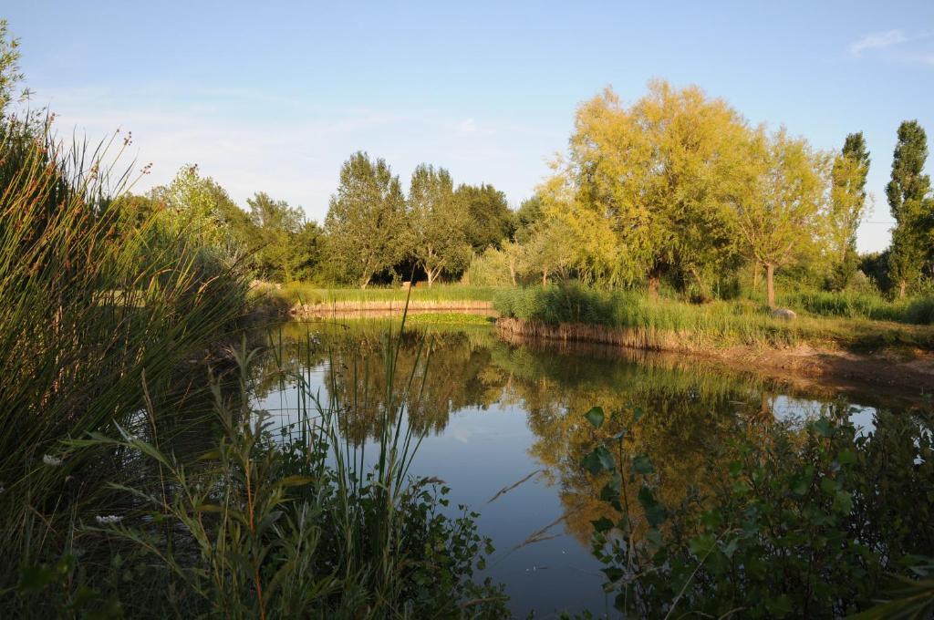 Domaine De La Begude Ξενοδοχείο Fayence Δωμάτιο φωτογραφία